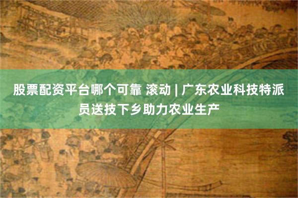股票配资平台哪个可靠 滚动 | 广东农业科技特派员送技下乡助力农业生产