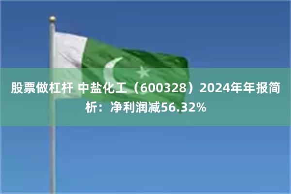 股票做杠杆 中盐化工（600328）2024年年报简析：净利润减56.32%