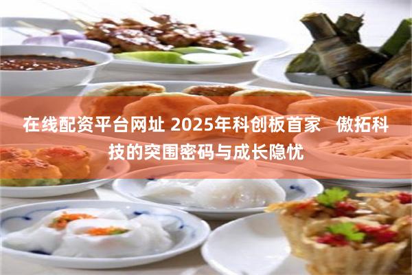 在线配资平台网址 2025年科创板首家   傲拓科技的突围密码与成长隐忧