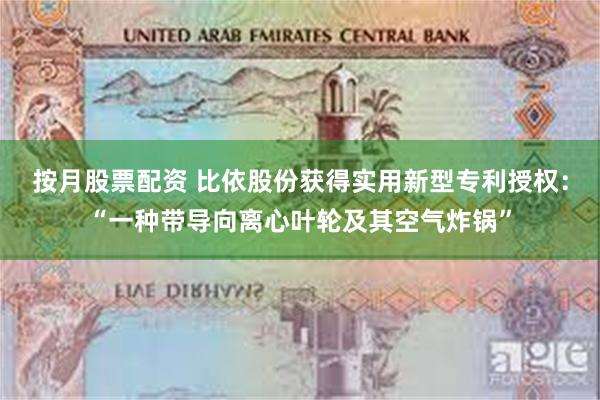 按月股票配资 比依股份获得实用新型专利授权：“一种带导向离心叶轮及其空气炸锅”