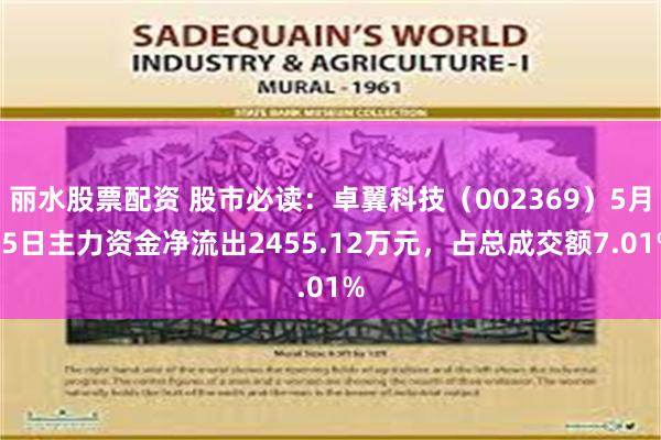 丽水股票配资 股市必读：卓翼科技（002369）5月15日主力资金净流出2455.12万元，占总成交额7.01%