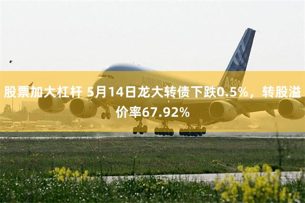 股票加大杠杆 5月14日龙大转债下跌0.5%，转股溢价率67.92%