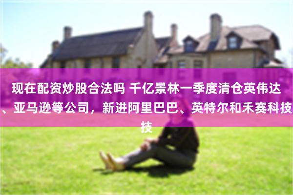 现在配资炒股合法吗 千亿景林一季度清仓英伟达、亚马逊等公司，新进阿里巴巴、英特尔和禾赛科技