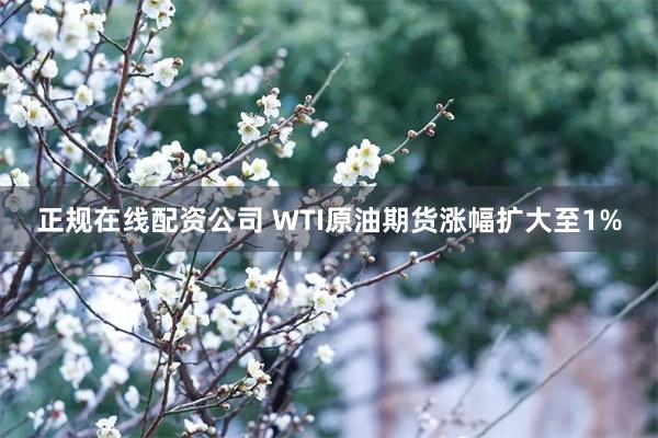 正规在线配资公司 WTI原油期货涨幅扩大至1%