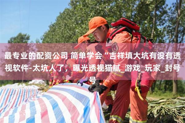最专业的配资公司 简单学会“吉祥填大坑有没有透视软件-太坑人了，曝光透视猫腻_游戏_玩家_封号