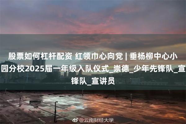 股票如何杠杆配资 红领巾心向党 | 垂杨柳中心小学景园分校2025届一年级入队仪式_崇德_少年先锋队_宣讲员