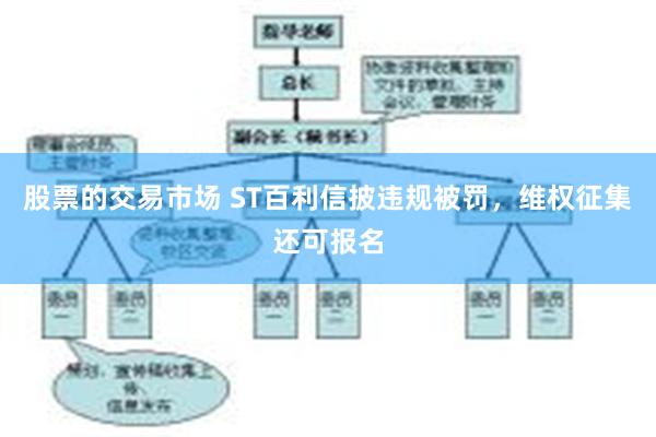 股票的交易市场 ST百利信披违规被罚，维权征集还可报名