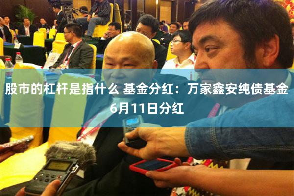股市的杠杆是指什么 基金分红：万家鑫安纯债基金6月11日分红