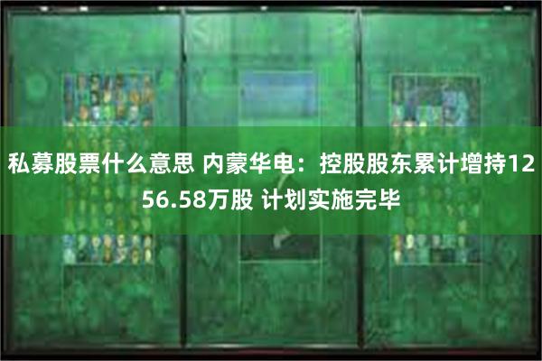 私募股票什么意思 内蒙华电：控股股东累计增持1256.58万股 计划实施完毕