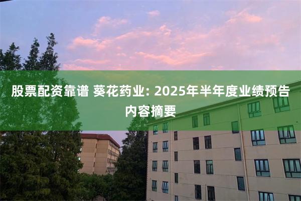 股票配资靠谱 葵花药业: 2025年半年度业绩预告内容摘要