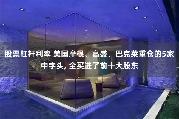 股票杠杆利率 美国摩根、高盛、巴克莱重仓的5家中字头, 全买进了前十大股东