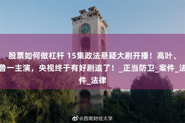 股票如何做杠杆 15集政法悬疑大剧开播！高叶、张鲁一主演，央视终于有好剧追了！_正当防卫_案件_法律