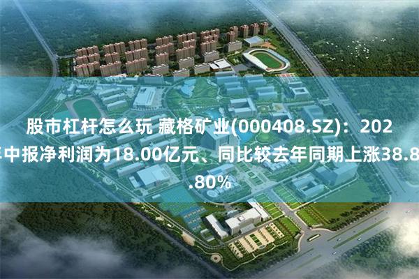 股市杠杆怎么玩 藏格矿业(000408.SZ)：2025年中报净利润为18.00亿元、同比较去年同期上涨38.80%