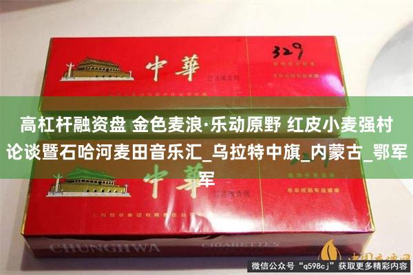 高杠杆融资盘 金色麦浪·乐动原野 红皮小麦强村论谈暨石哈河麦田音乐汇_乌拉特中旗_内蒙古_鄂军