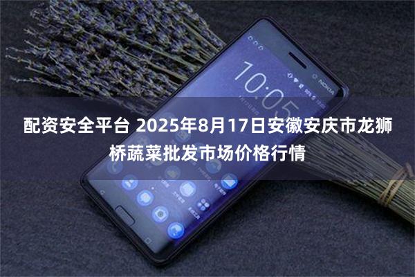 配资安全平台 2025年8月17日安徽安庆市龙狮桥蔬菜批发市场价格行情