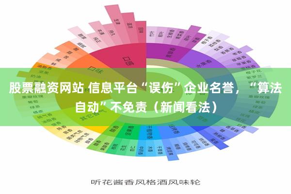 股票融资网站 信息平台“误伤”企业名誉，“算法自动”不免责（新闻看法）
