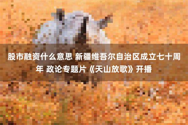 股市融资什么意思 新疆维吾尔自治区成立七十周年 政论专题片《天山放歌》开播